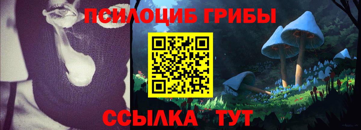 Камышлов  Псилоцибиновые грибы мухоморы  Вход с VPN 